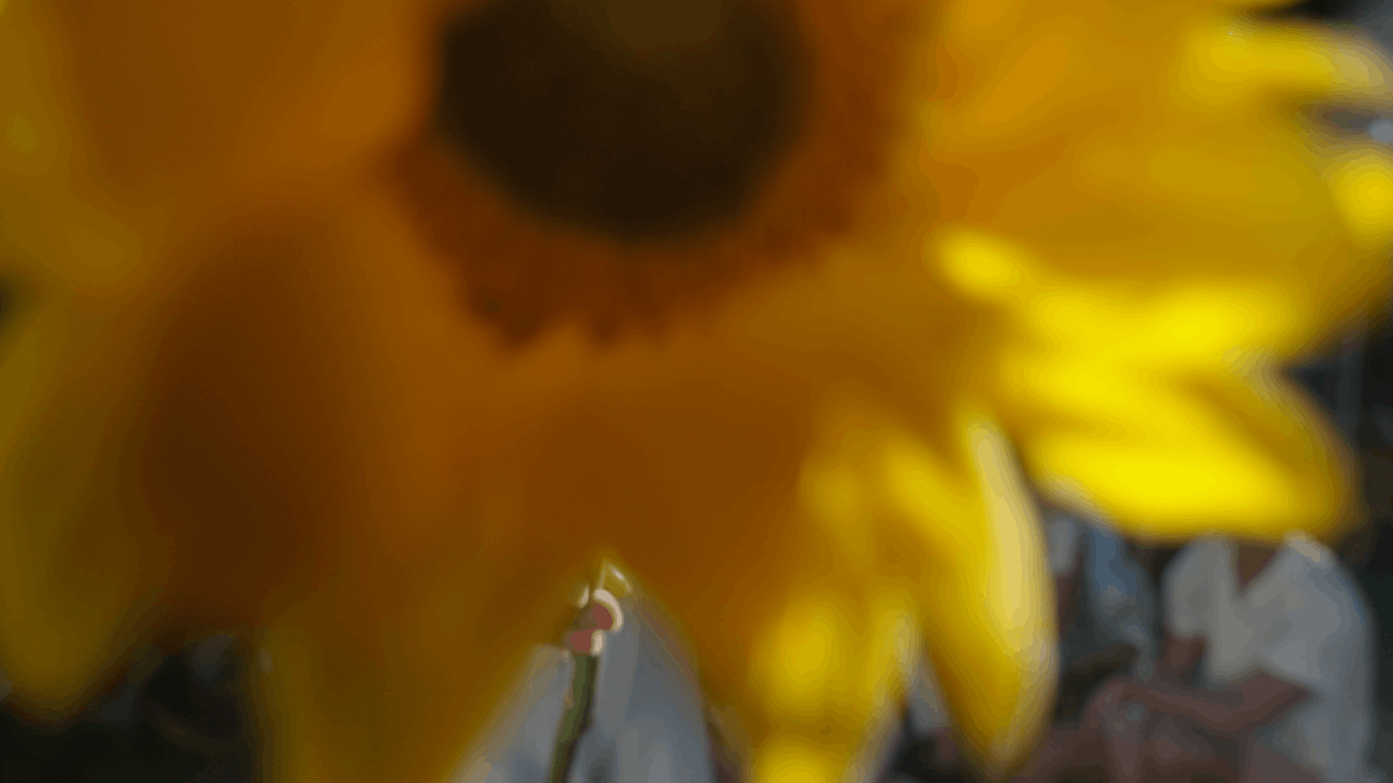 U.S. Polo Assn. global campaign production, frame 15