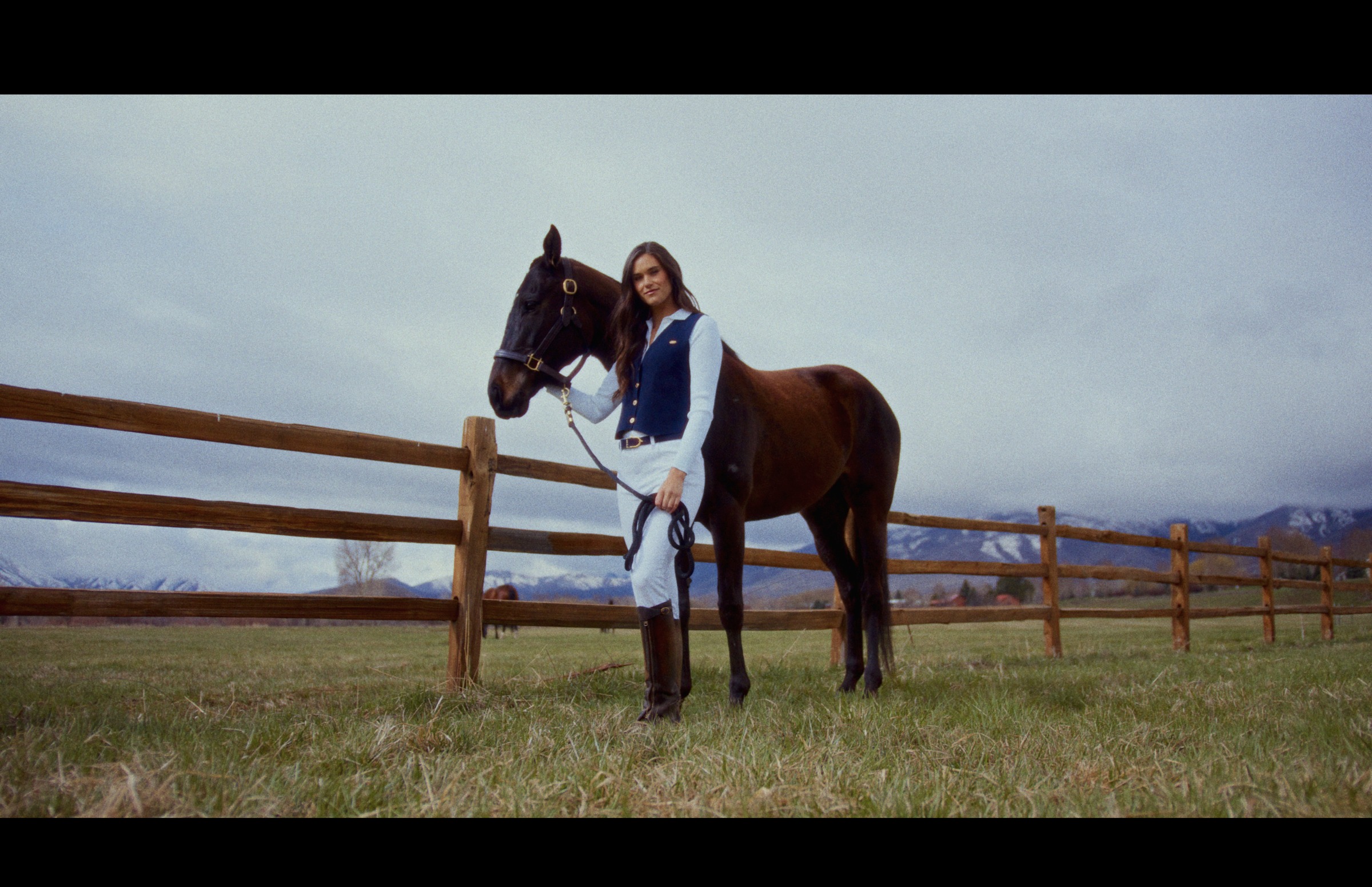 Still frame titled "Equestrian Horse Portrait" from the GLM Filmsupply Frame Grab Titles source drop.