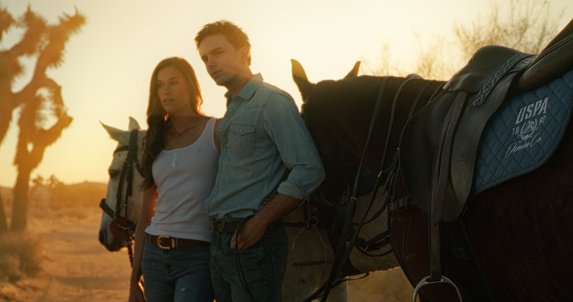 Still frame titled "Palm Springs Couple With Horse" from the GLM Filmsupply Frame Grab Titles source drop.