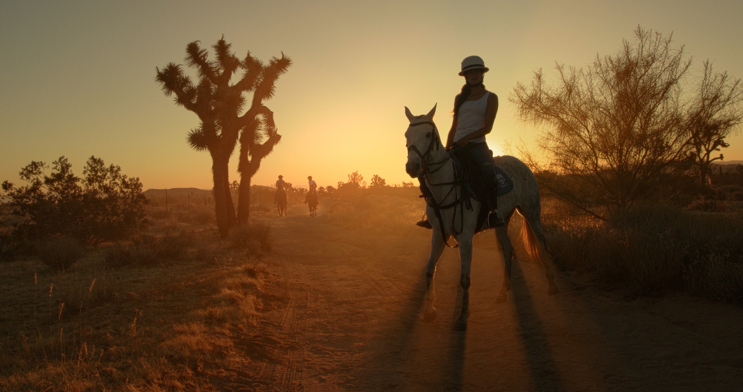 Still frame titled "Palm Springs Dust Rider" from the GLM Filmsupply Frame Grab Titles source drop.