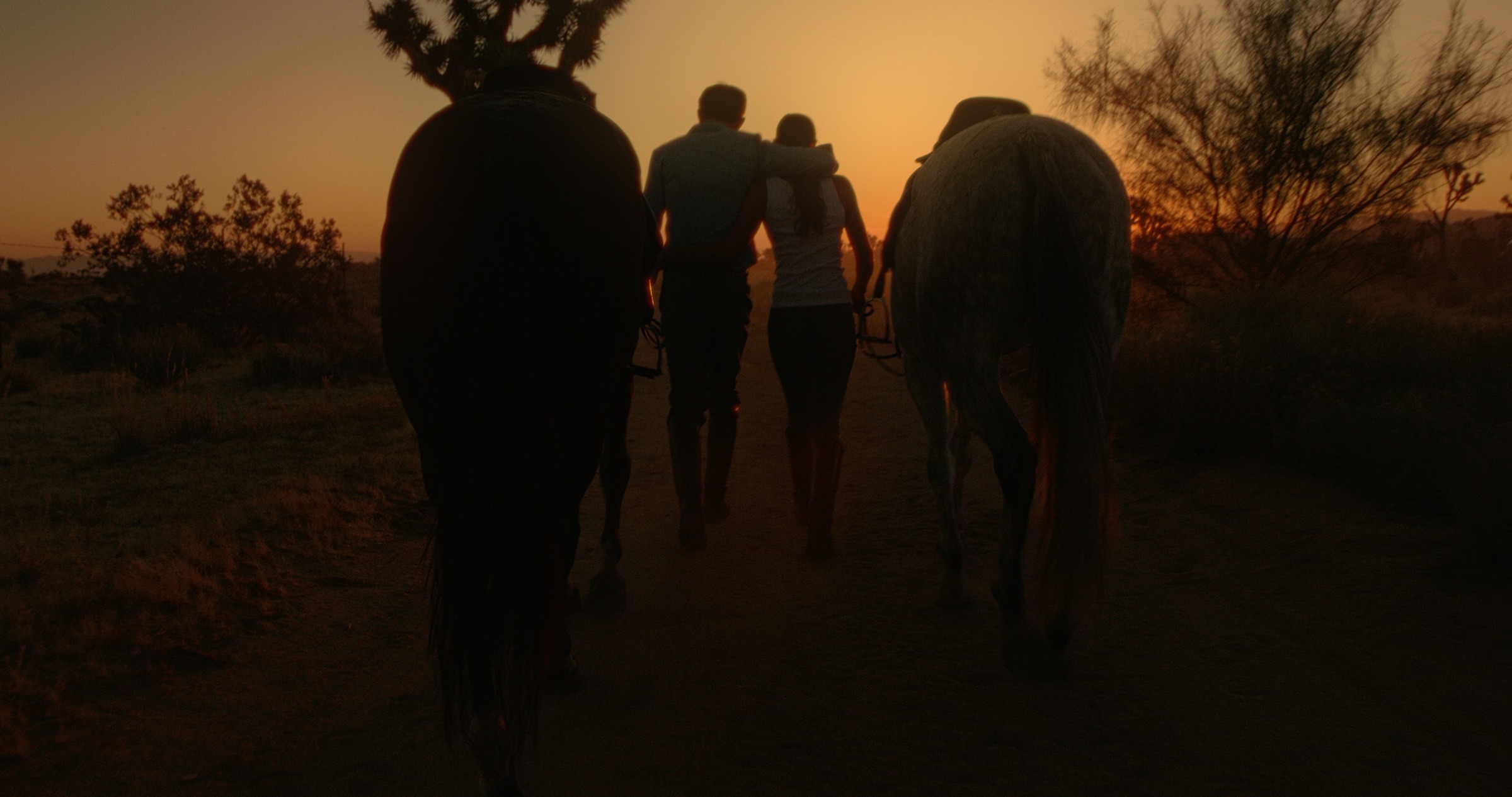 Still frame titled "Palm Springs Horse Walk Sunset" from the GLM Filmsupply Frame Grab Titles source drop.
