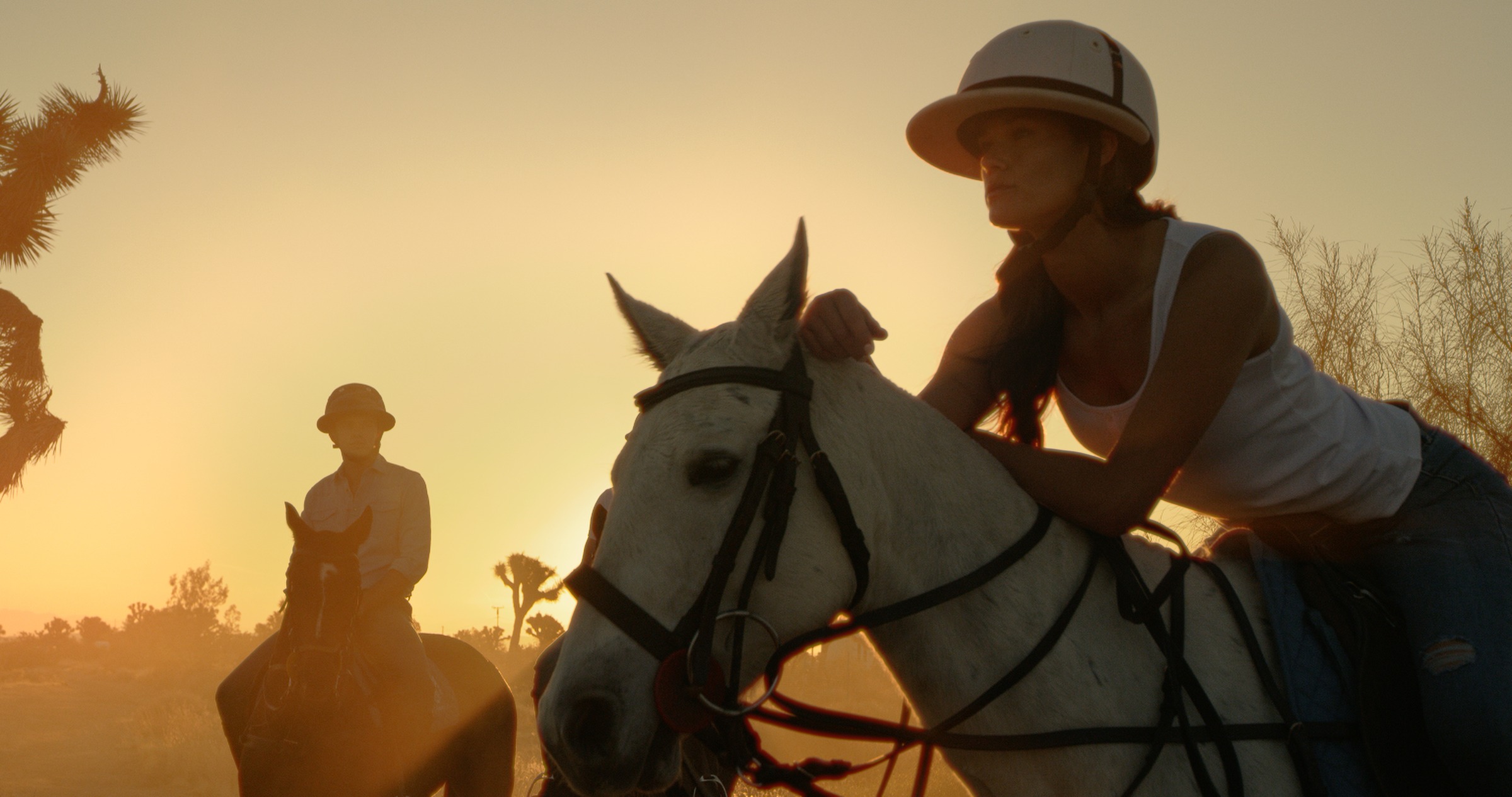 Still frame titled "Palm Springs Horseback Lifestyle" from the GLM Filmsupply Frame Grab Titles source drop.
