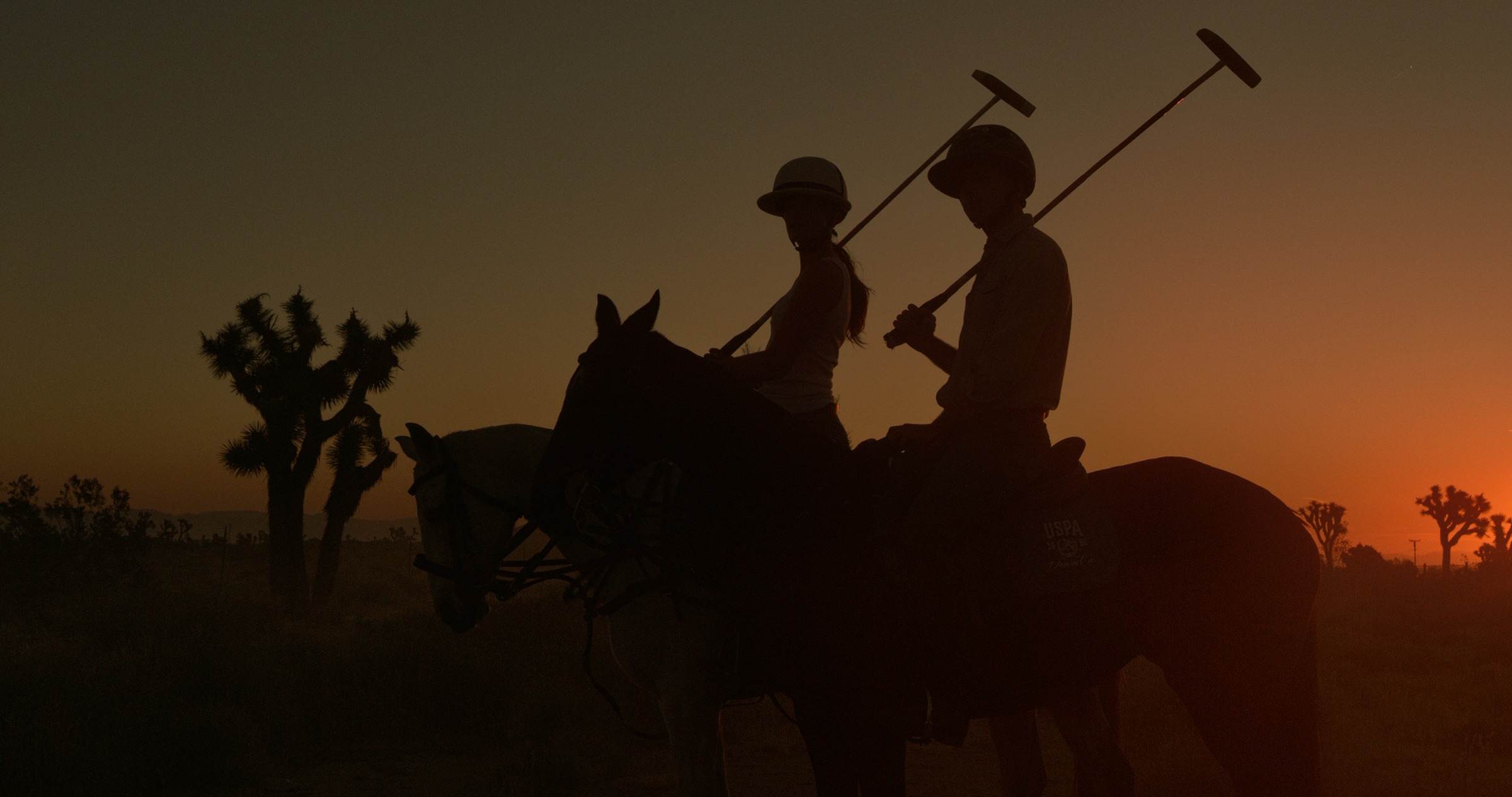 Still frame titled "Palm Springs Polo Silhouette" from the GLM Filmsupply Frame Grab Titles source drop.