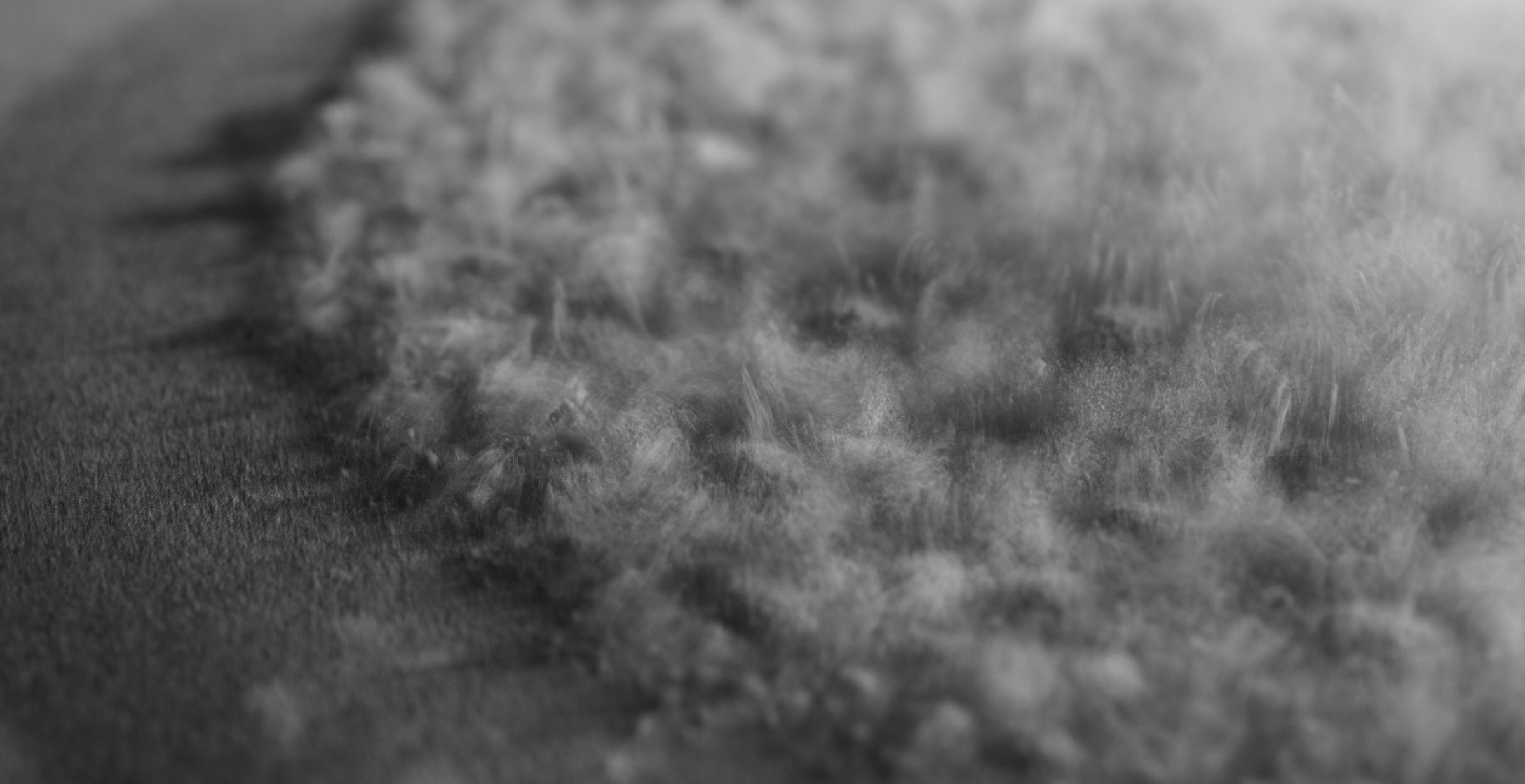 Still frame titled "Powder Grain Edge Texture" from the GLM Filmsupply Frame Grab Titles source drop.
