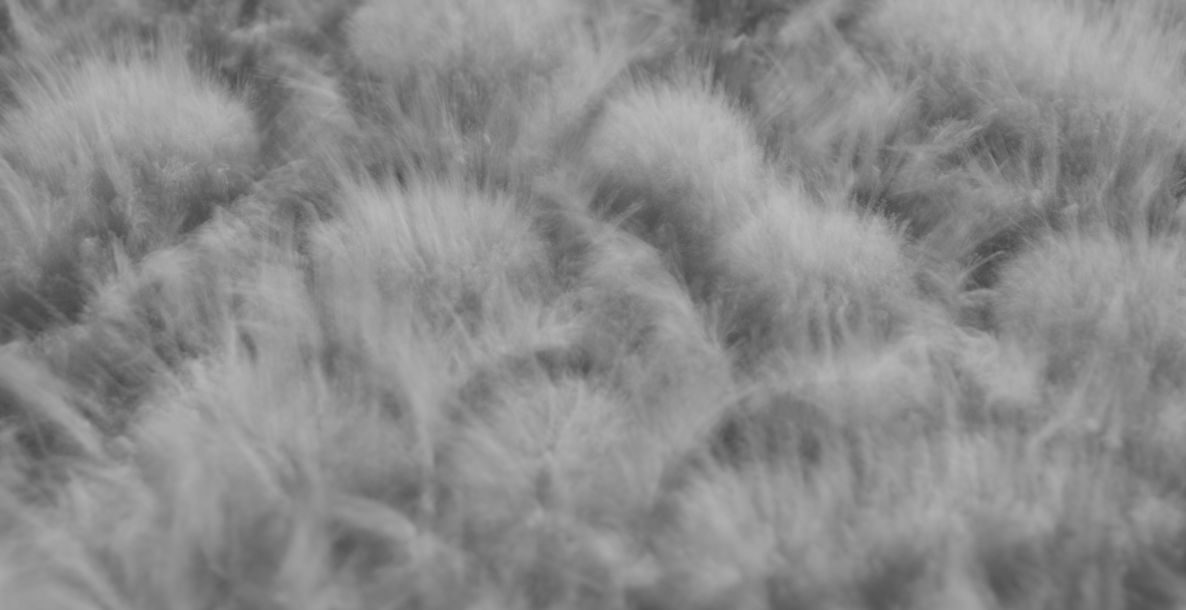 Still frame titled "Powder Macro Soft Grain Field" from the GLM Filmsupply Frame Grab Titles source drop.