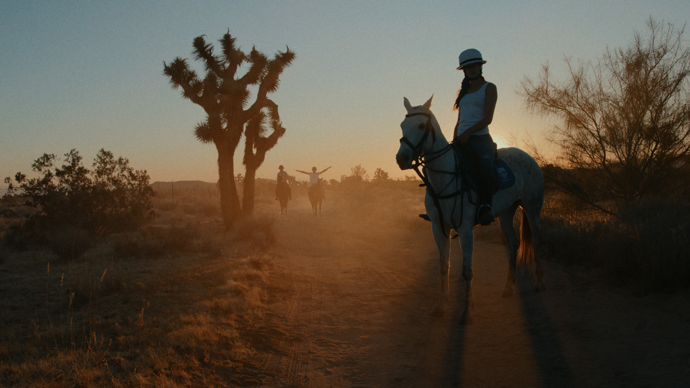 Desert horse silhouette with dusty sunset light and Joshua tree negative space.